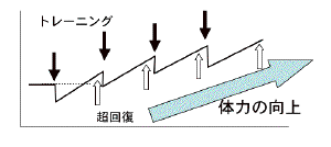 tre1.gif